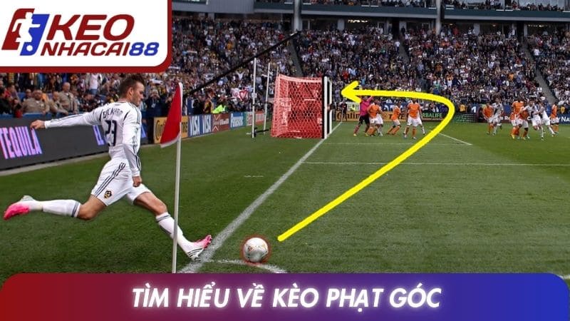 Tìm hiểu về kèo phạt góc